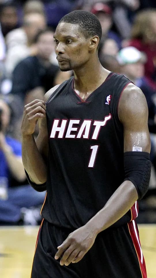 Portrait of Chris Bosh